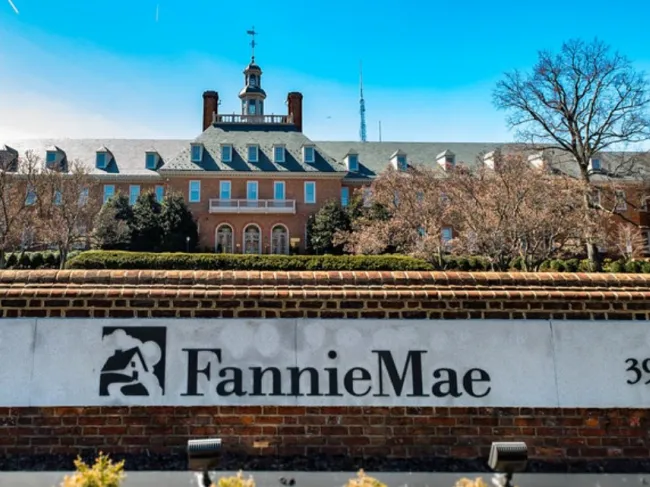fannie